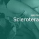 Scopri la Masterclass teorico-pratica in Scleroterapia