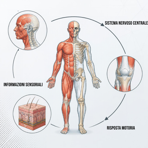 POSTUROLOGIA-